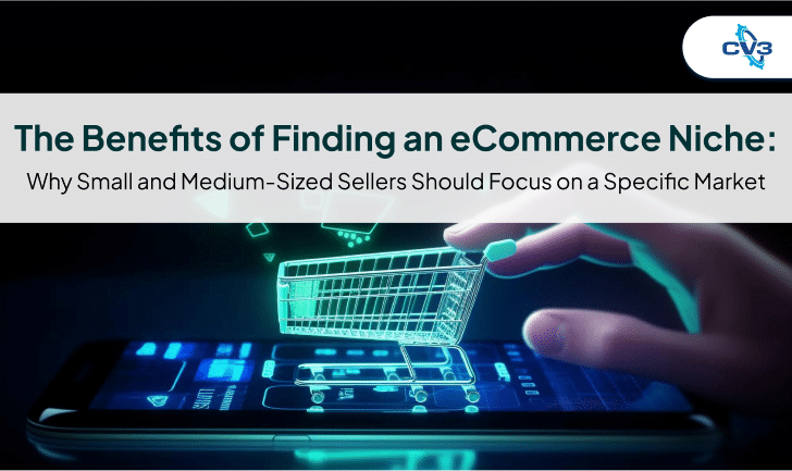 The Benefits of Finding an E-Commerce Niche: Why Small and Medium-Sized Sellers Should Focus on a Specific Market