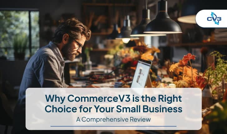 Why CommerceV3 Platform is Right Choice for Small Businesses
