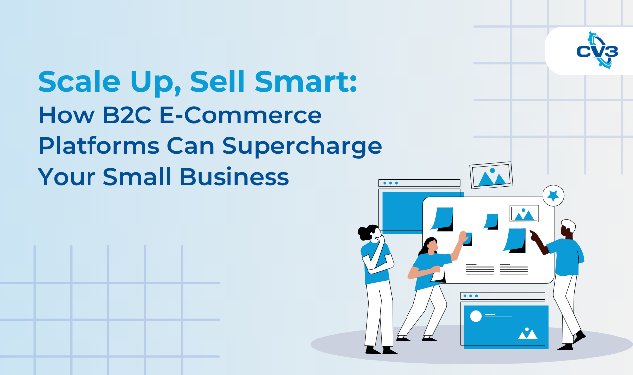 Scale Up, Sell Smart: How B2C E-Commerce Platforms Can Supercharge Your Small Business